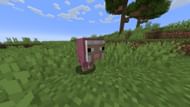 A naturally spawning pink baby sheep is immensely rare (Image via Mojang)